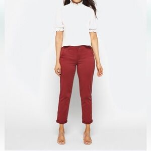 Democracy “Ab-Solution” Straight Leg Rust Pants